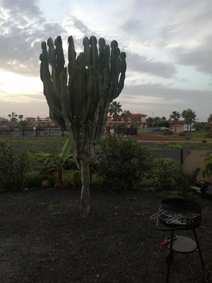 Отель Casa Sol Origo Mare Лахарес Испания
